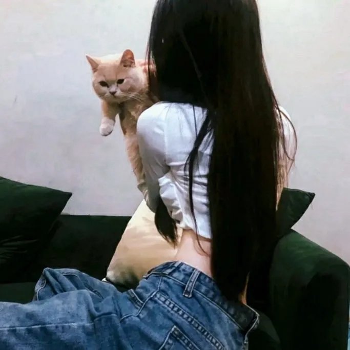 长颈鹿扎拉法